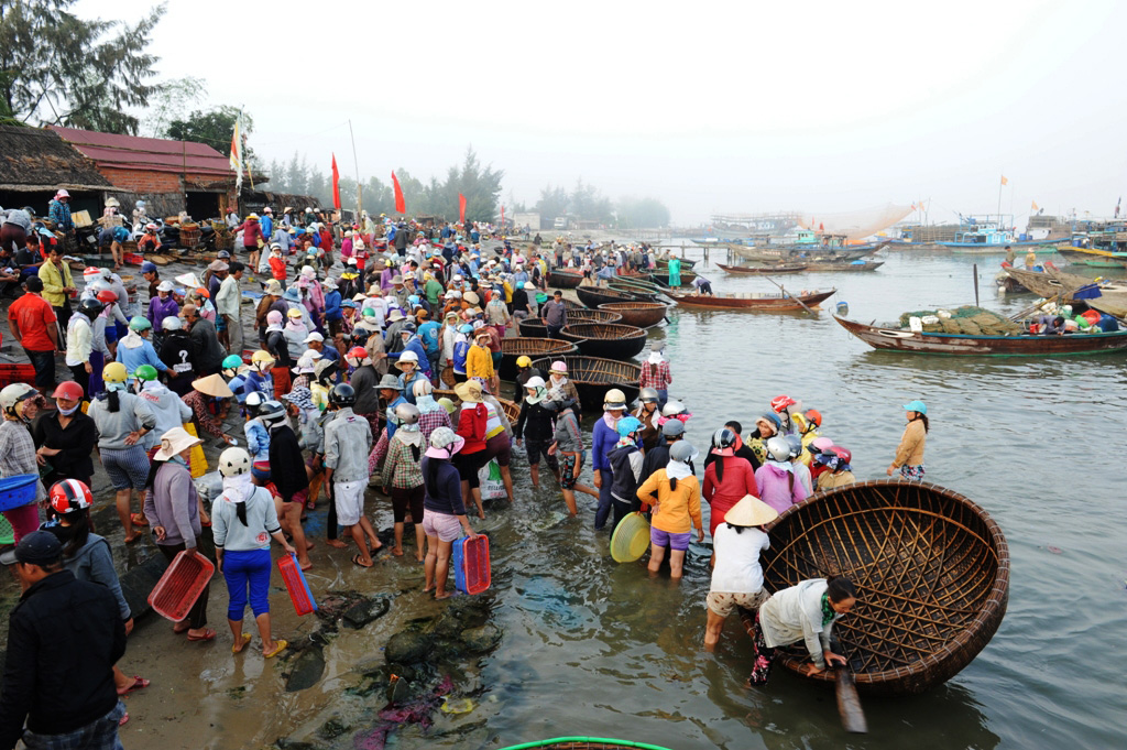 Đời sống nhộn nhịp ở bến cá