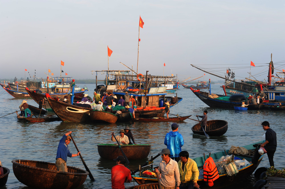 Cuộc sống nhộn nhịp ở cửa biển vào lúc bình minh